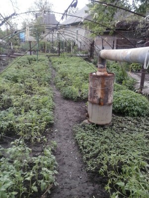 CAM00617-picsay.jpg