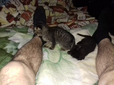 20170428_184819.jpg
