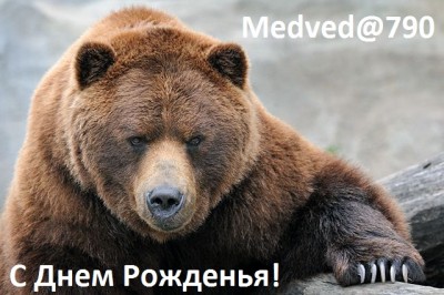 Medved@790.jpg