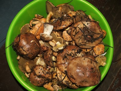 DSCF5288.JPG