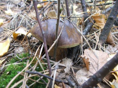DSCF2646.JPG