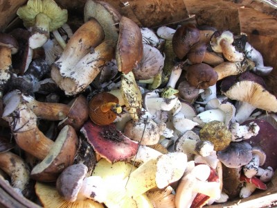 DSCF5800.JPG