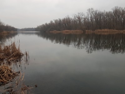 20210109_154359.jpg