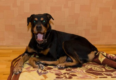 Изменение размера 20110117-DSC_3114.jpg