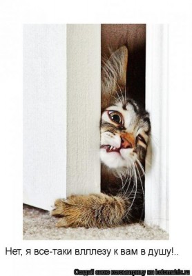 1270719q.jpg (53.29 КБ) 7499 просмотров 1270719q.jpg