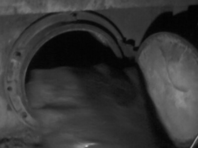IMG0200A.jpg