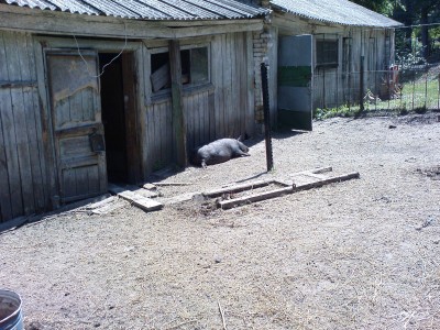 DSC00174.JPG