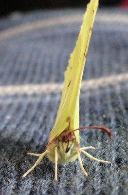 DSC0147.JPG