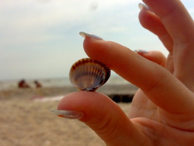 17072011298.jpg