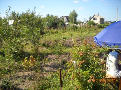 DSCN1187.JPG