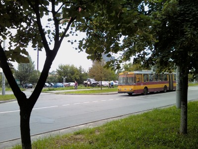 IMG177-01.jpg