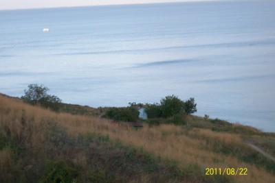 100_1452.jpg