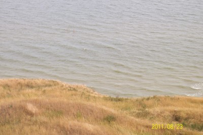 100_1455.jpg