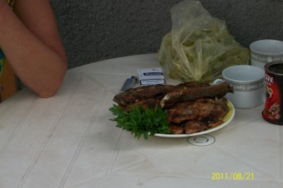 100_1450.jpg