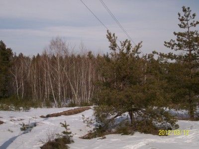 100_1599[1].jpg