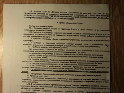 DSC02603 (Копировать).JPG