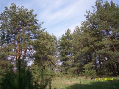 100_1612.jpg