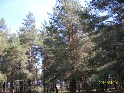 100_1625.jpg