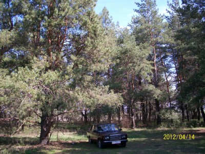 100_1626.jpg