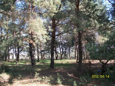 100_1632.jpg