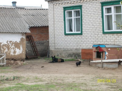 100_1653.jpg