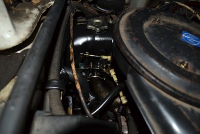 DSC_0256.JPG