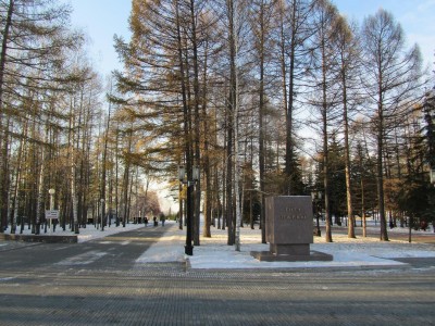 207605488.jpg