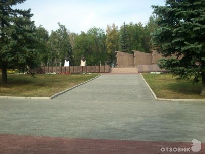 5420513.jpg