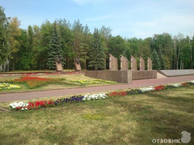 10193741.jpg