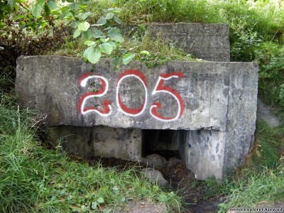 dot-205[1].jpg