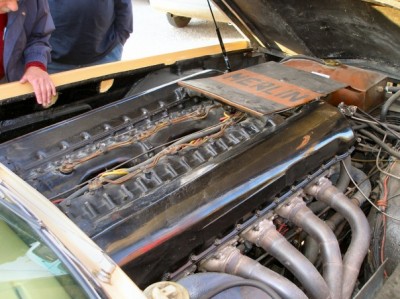 x_f700f9c6.jpg