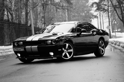 sm_img-1282838.jpg