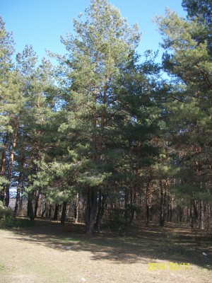 100_2311.jpg