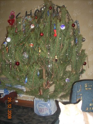 DSCN1225.jpg