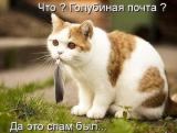 Аватар пользователя Suhar