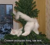 Аватара пользователя