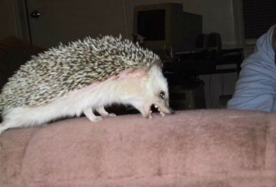 Ae7vPgAdtqk.jpg