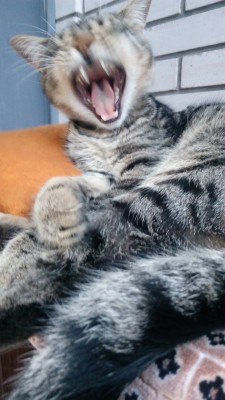 2018-07-11 20.47.59.jpg