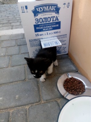 IMG_20180912_160505.jpg (1.91 МБ) 52808 просмотров IMG_20180912_160505.jpg