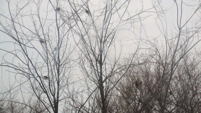 DSCN0197_1.jpg