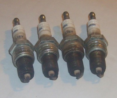 S5004879.JPG