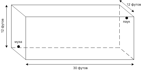 Задача о пауке и мухе.png