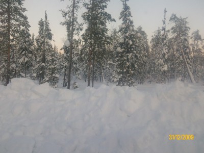 IMG0359A.jpg