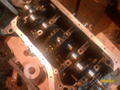 IMG0986A.jpg