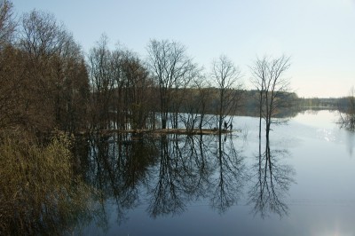 DSC07784.JPG