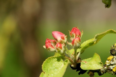 DSC08245.JPG