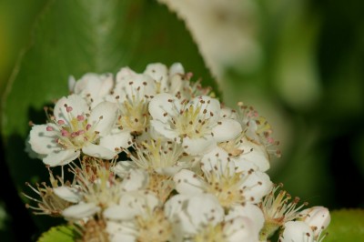 DSC08448.JPG