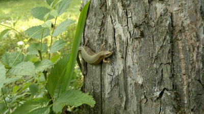10062011544.jpg