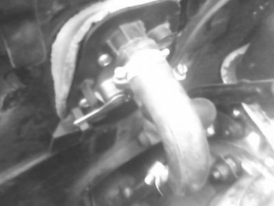 IMG0207A.jpg