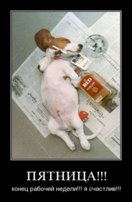 s3img_161461572_18373_1.jpg (38.45 КБ) 6720 просмотров s3img_161461572_18373_1.jpg